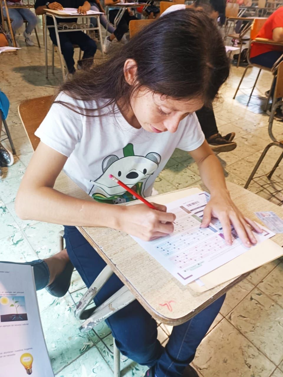 inclsuión académica 1.jpg